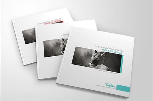 کاتالوگ خشتی